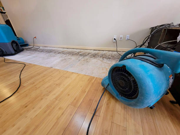Professional Sewage Cleanup technician working in Esperance, NY